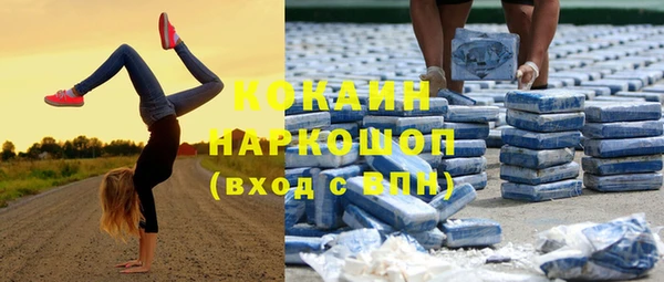 твердый Богданович