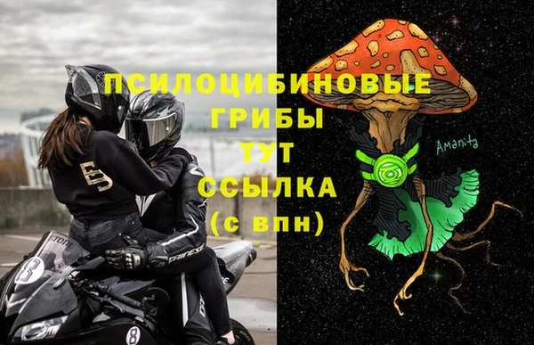 твердый Богданович