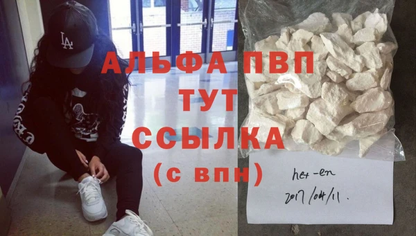 твердый Богданович