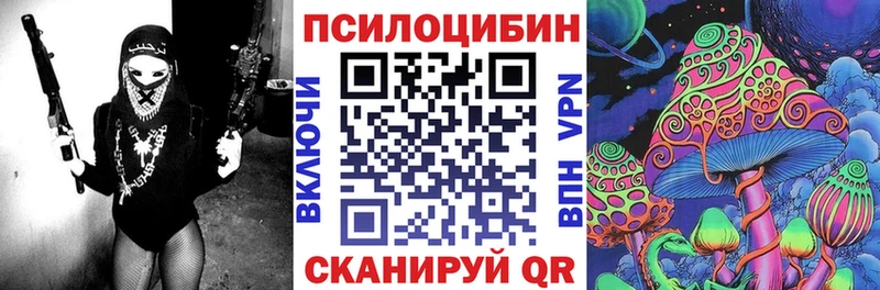 купить наркотик Озёрск Галлюциногенные грибы Cubensis